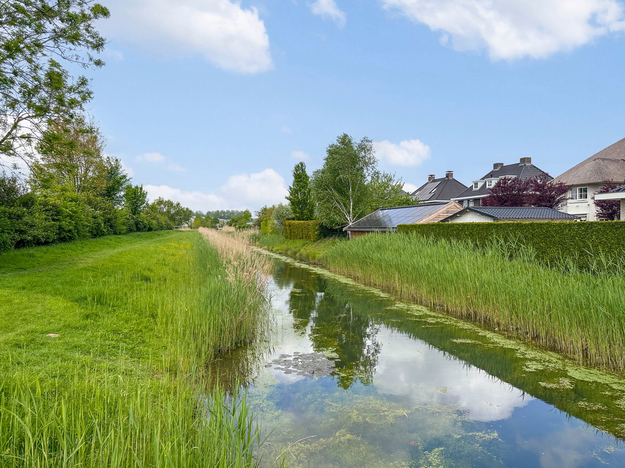 Foto 48 van Luitenantstraat 12