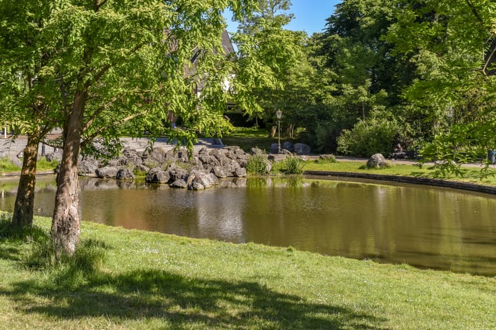 Foto 37 van Blasiusstraat 124-2