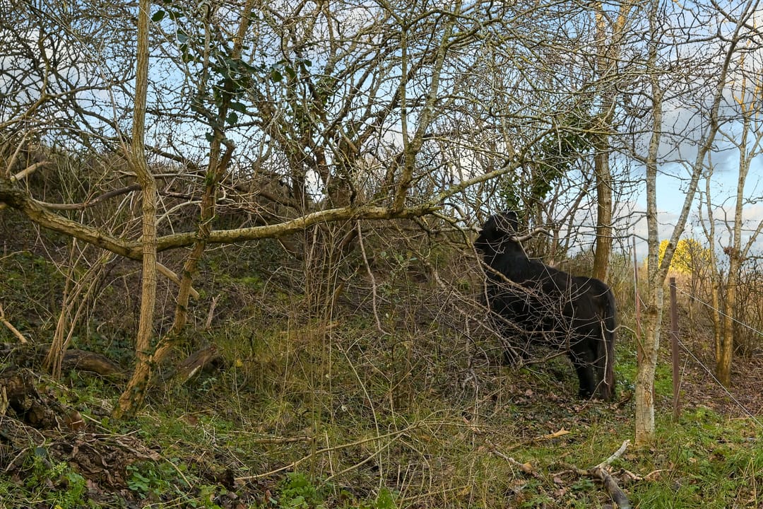 Photo 43 of Schoklandsestraat 28