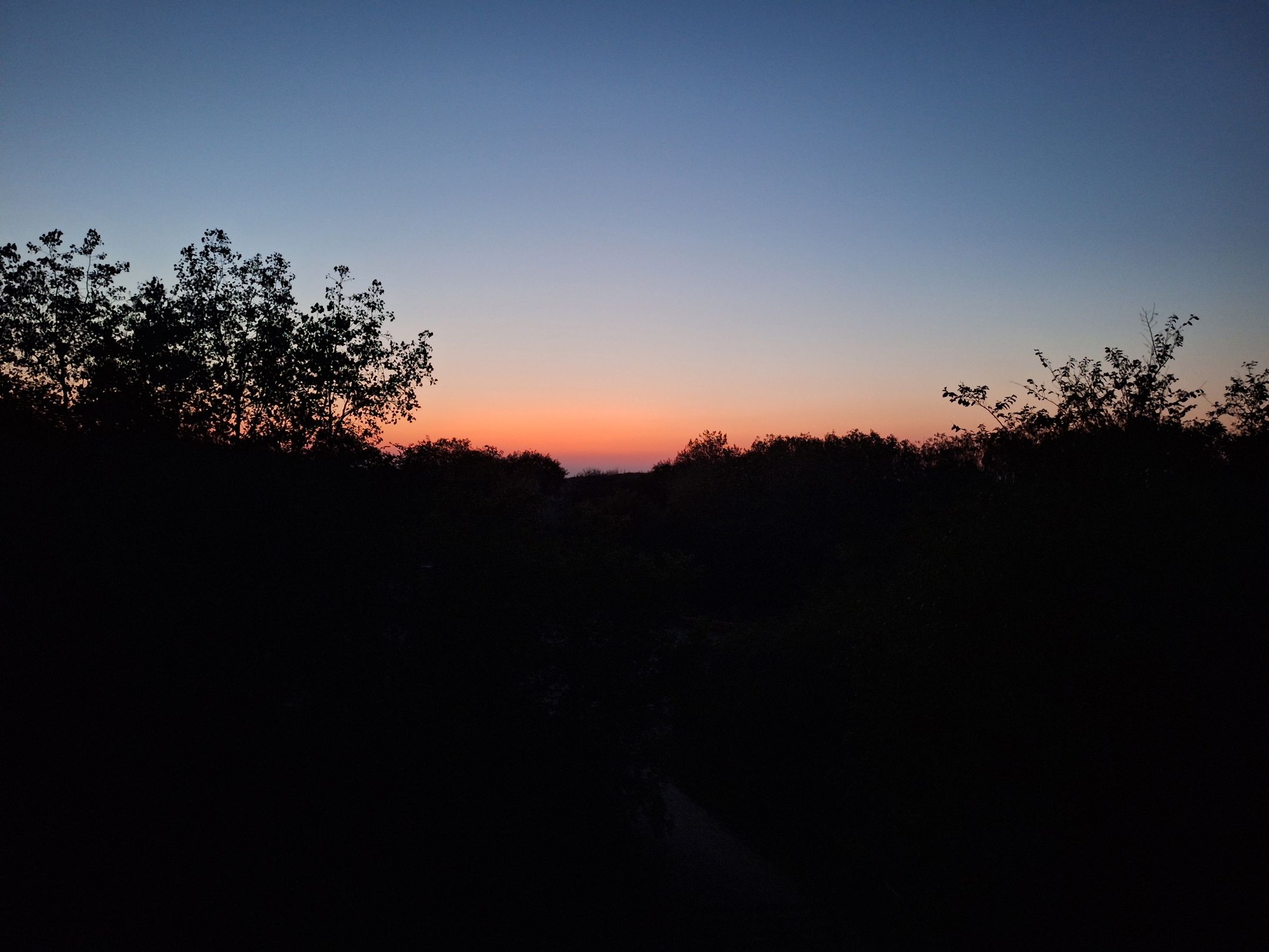 Photo 45 of Schoklandsestraat 28