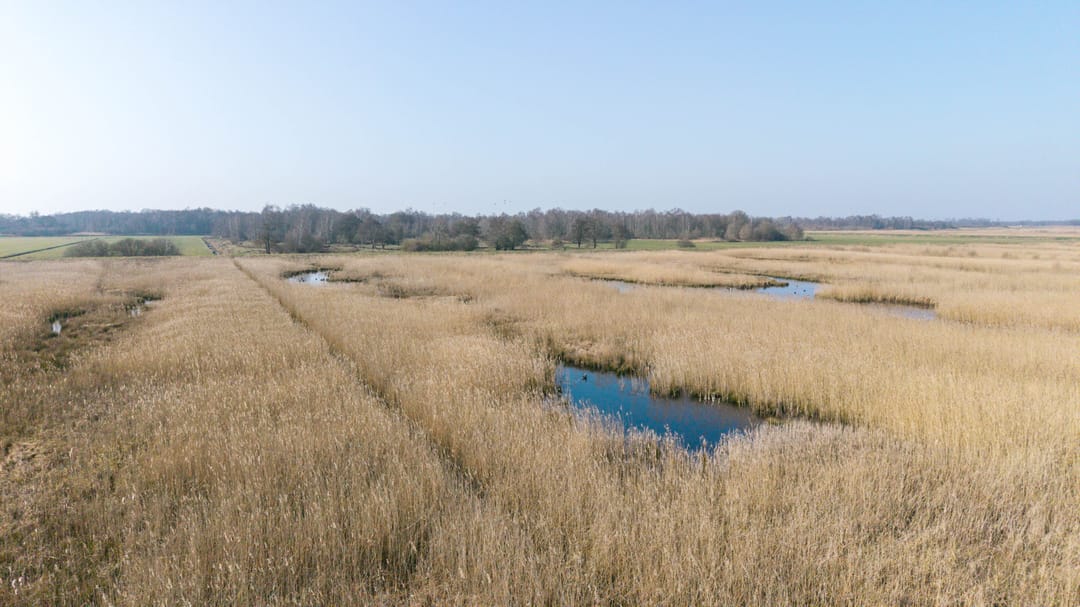 Foto 52 van Wetering West 27