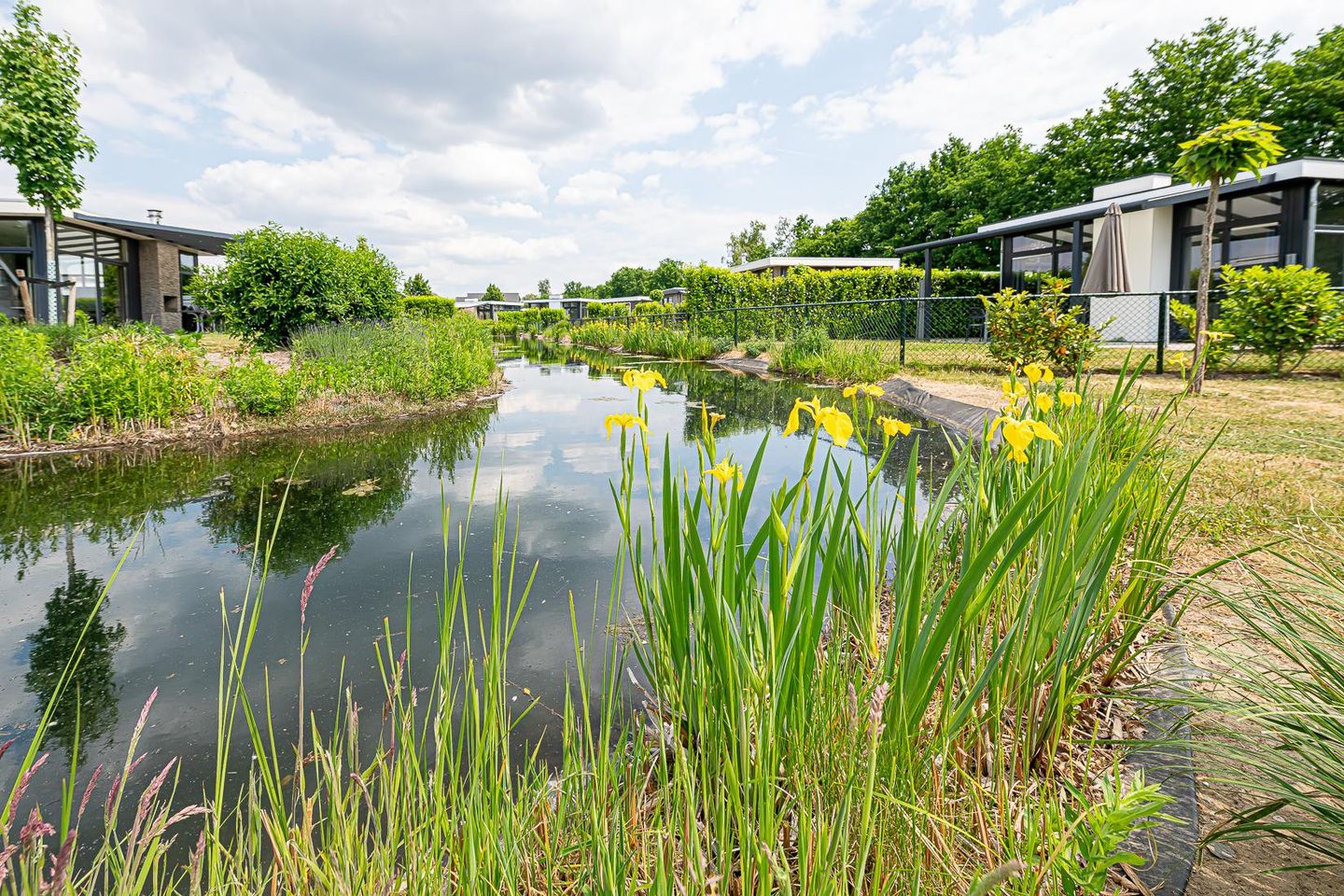 Photo 4 of Hommelweg 2-R693