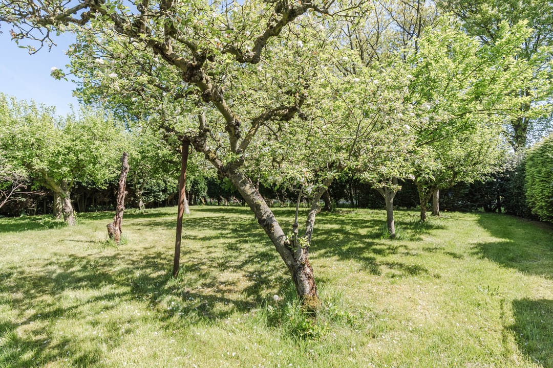 Foto 7 van Geukerdijk 127