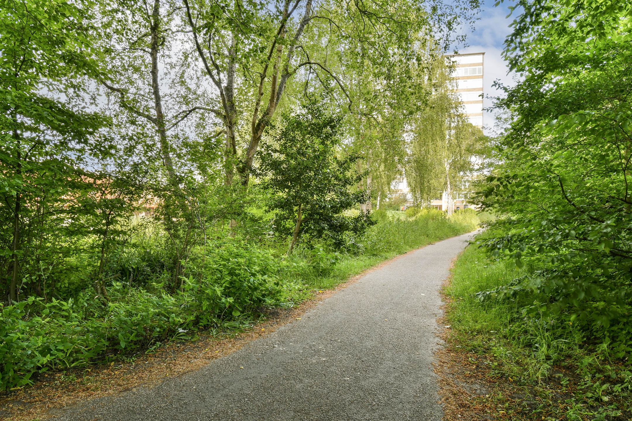 Foto 24 van Meander 1073