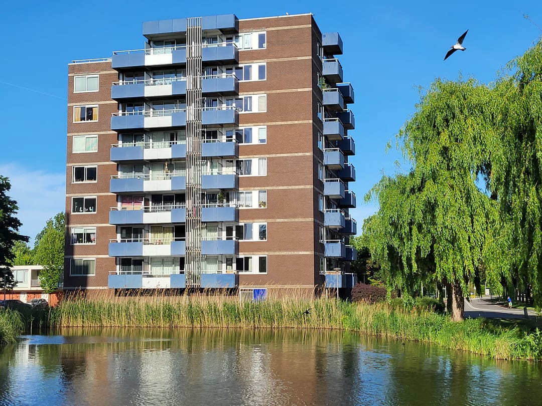 Foto 1 van Boterbloem 75