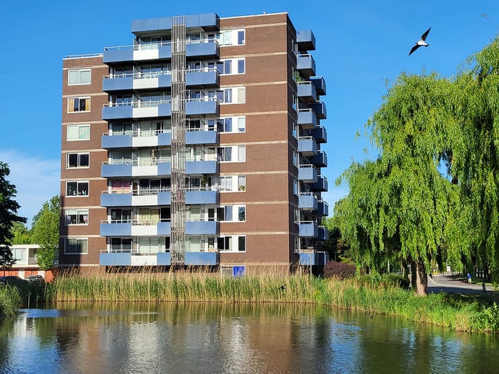 Foto 1 van Boterbloem 75