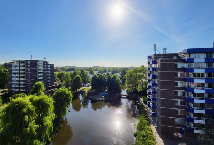 Foto 9 van Boterbloem 75