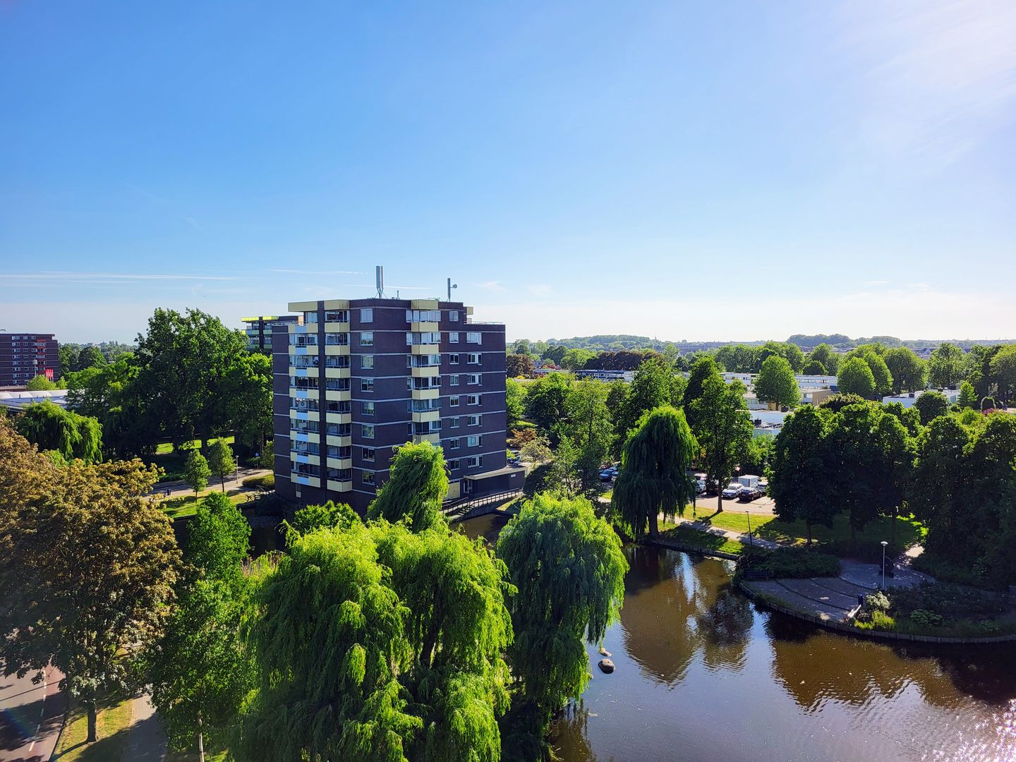 Foto 10 van Boterbloem 75