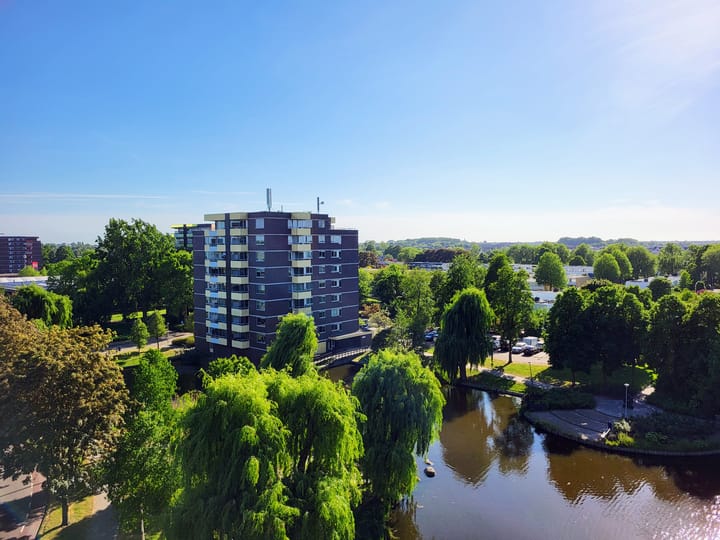 Foto 10 van Boterbloem 75