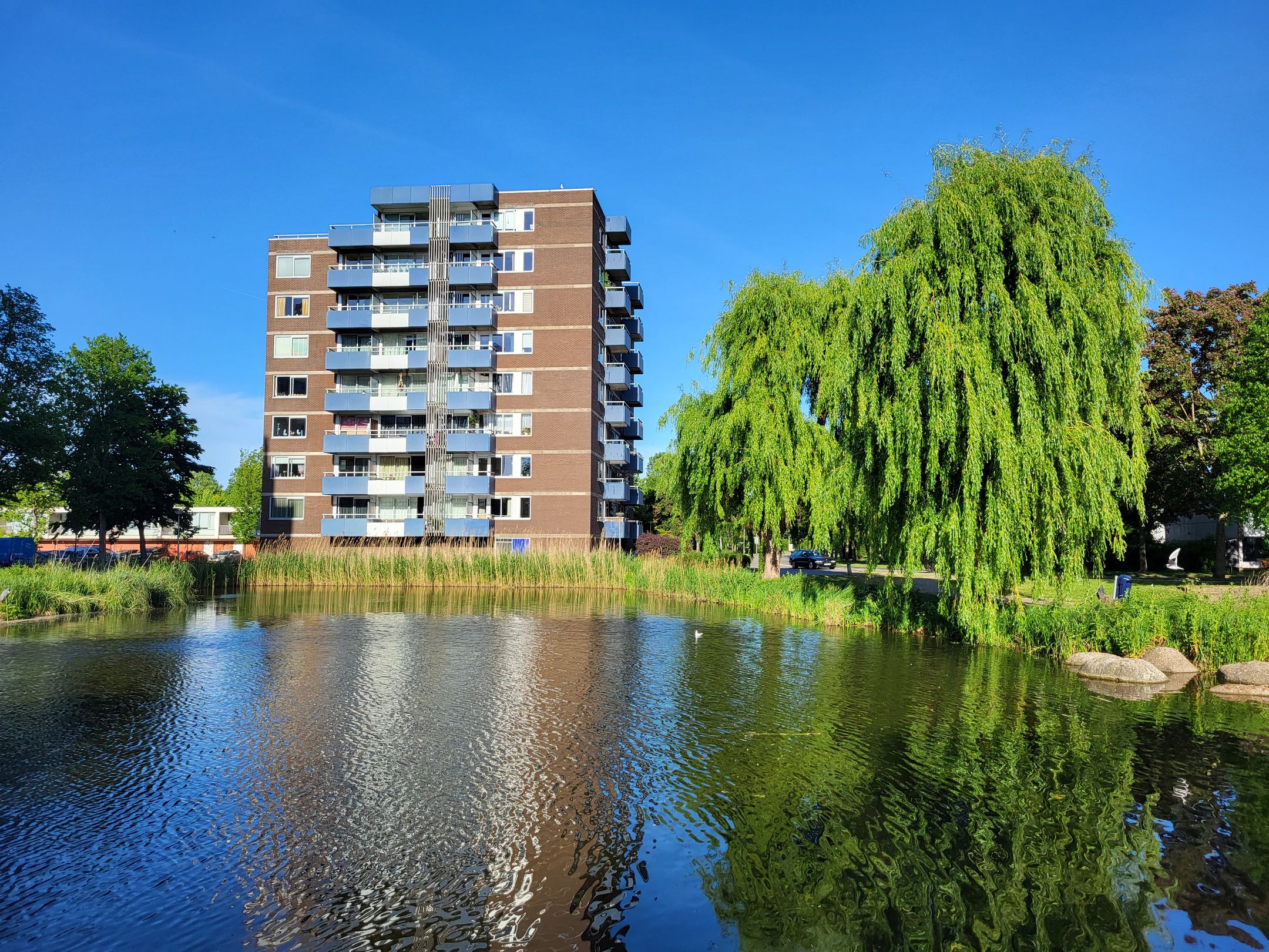 Foto 15 van Boterbloem 75