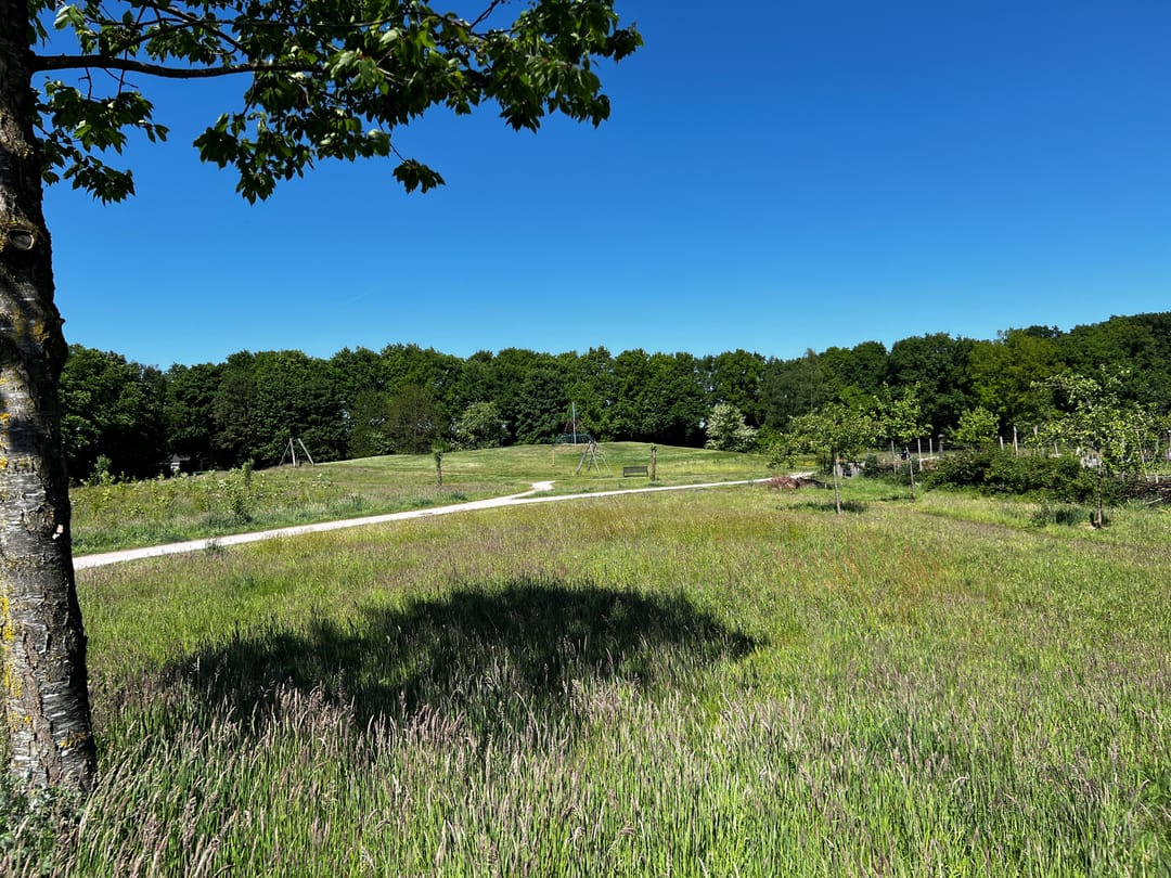 Photo 52 of Klompenmaker 96