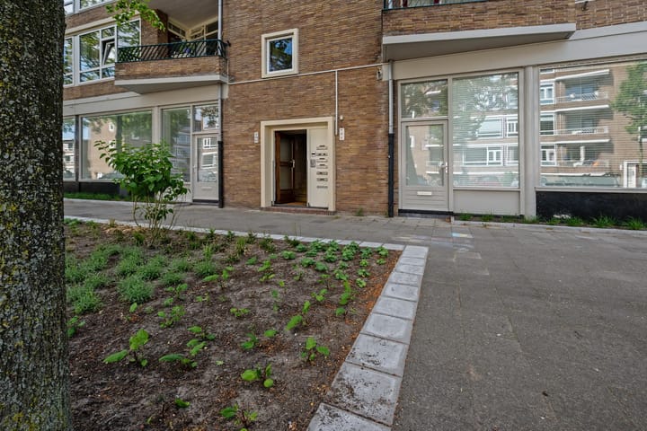 Foto 3 van Ruygenhoeklaan 9-1