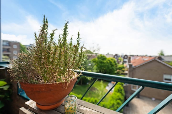 Foto 15 van Ruygenhoeklaan 9-1