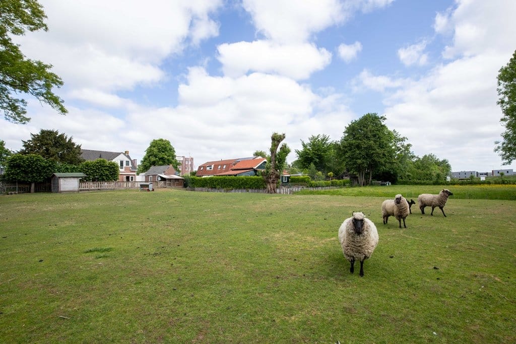 Photo 31 of Rijksstraatweg 28