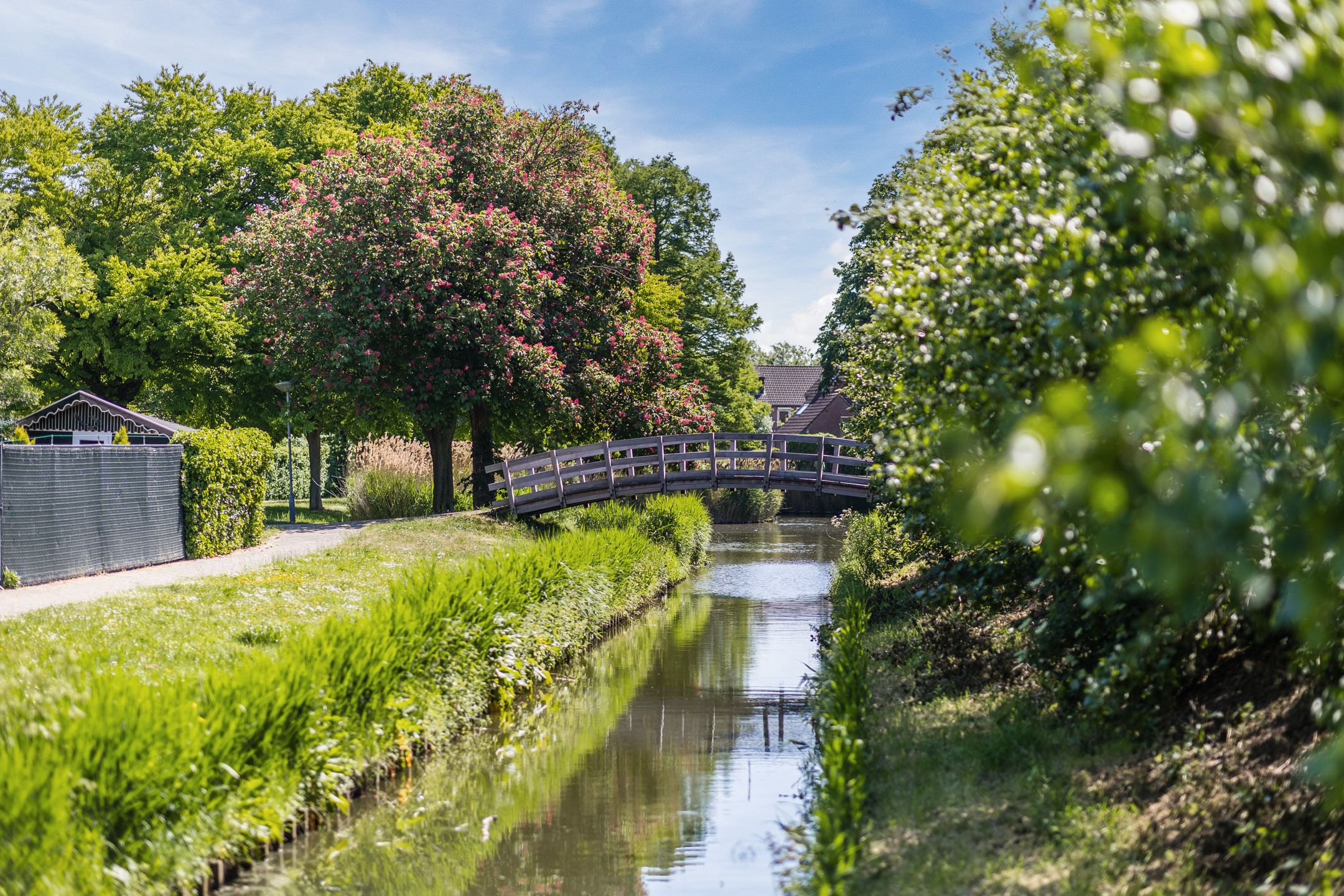 Foto 27 van Klaprooslaan 62