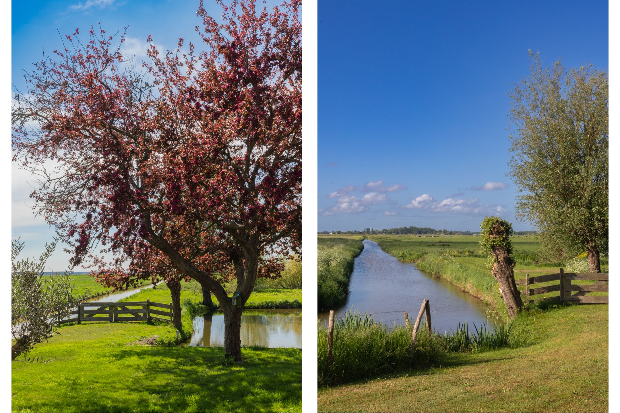 Foto 48 van Polderweg 6-A