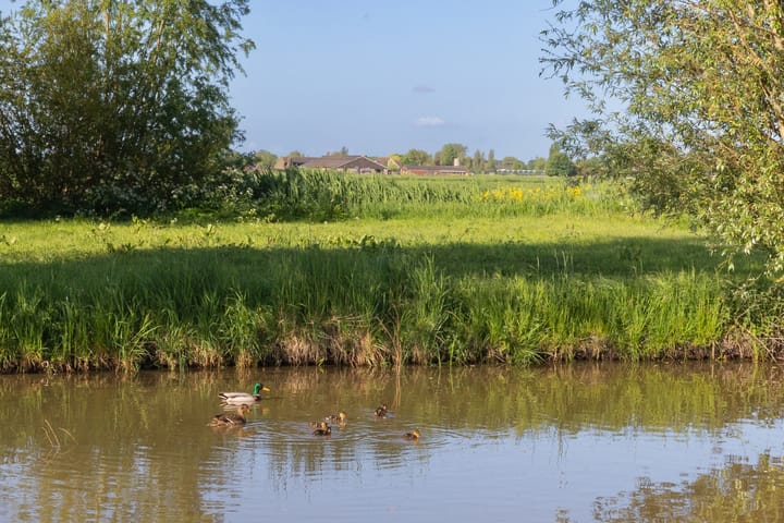 Foto 49 van Polderweg 6-A