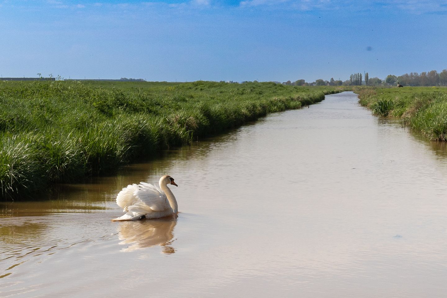 Foto 50 van Polderweg 6-A