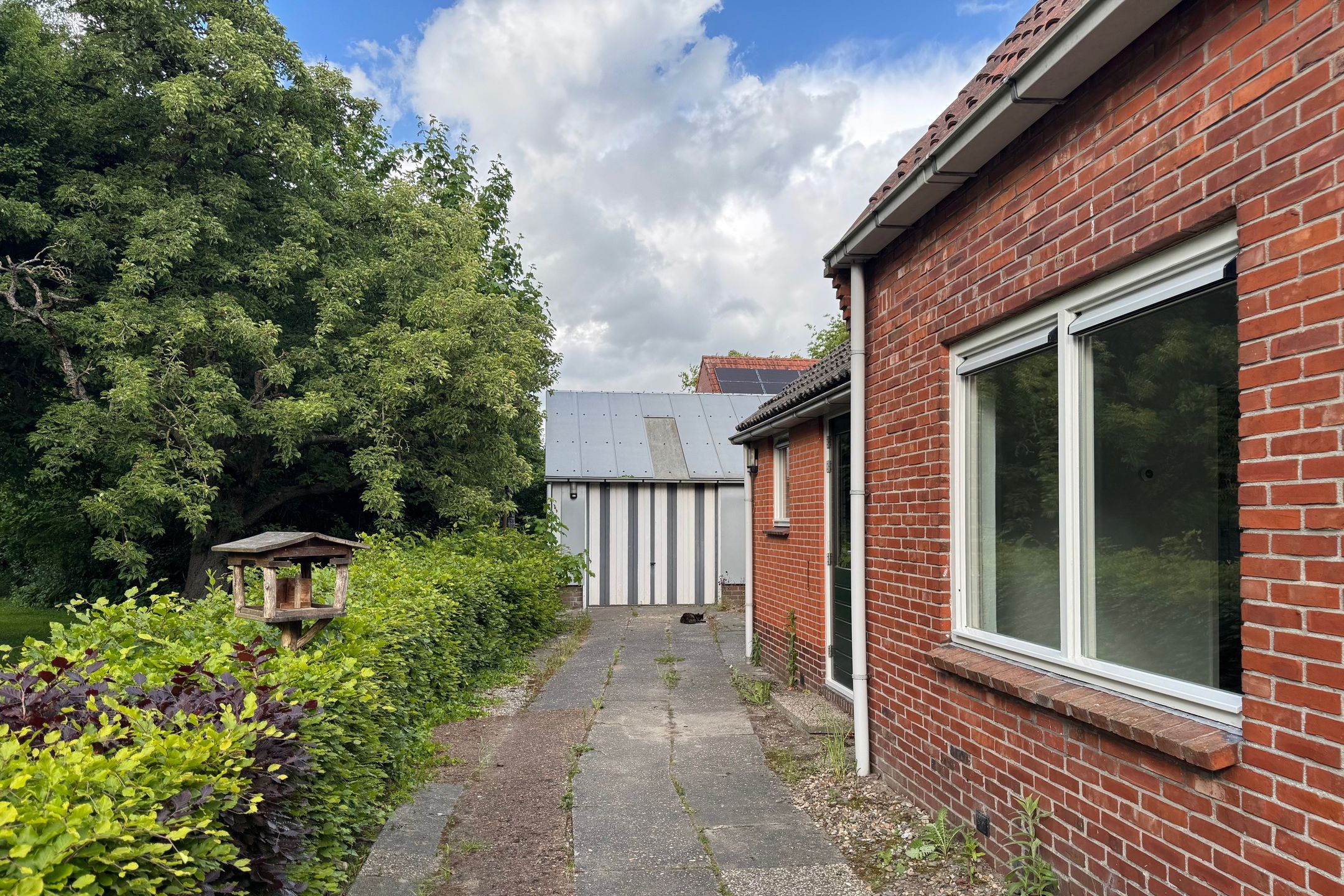 Foto 24 van Beukenlaan 8