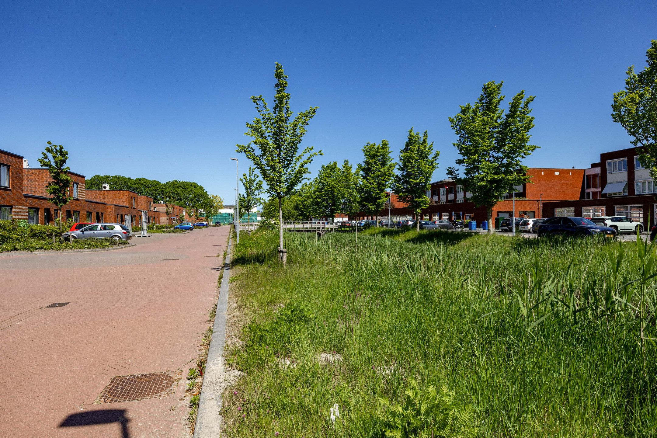 Foto 36 van Kornelis ter Laanstraat 25