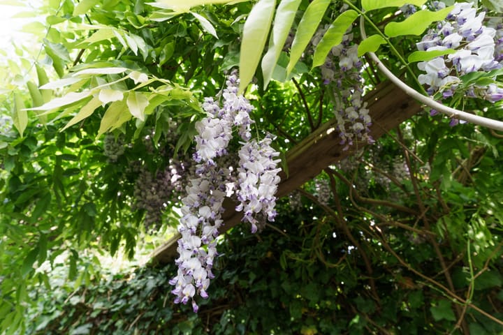 Foto 11 van Sadatweg 93