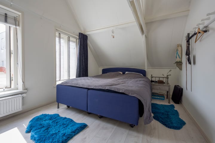 Foto 22 van Grote Haag 4