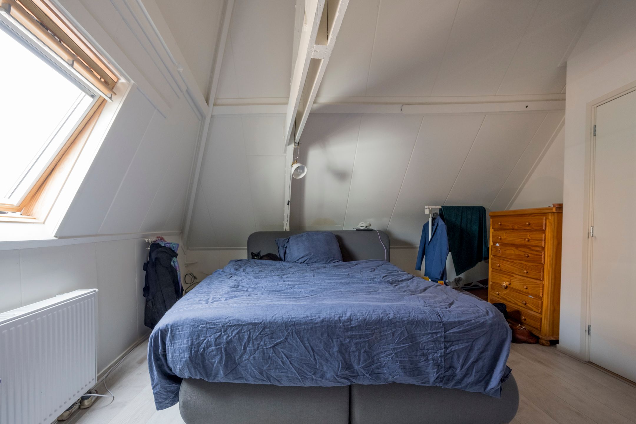 Foto 24 van Grote Haag 4