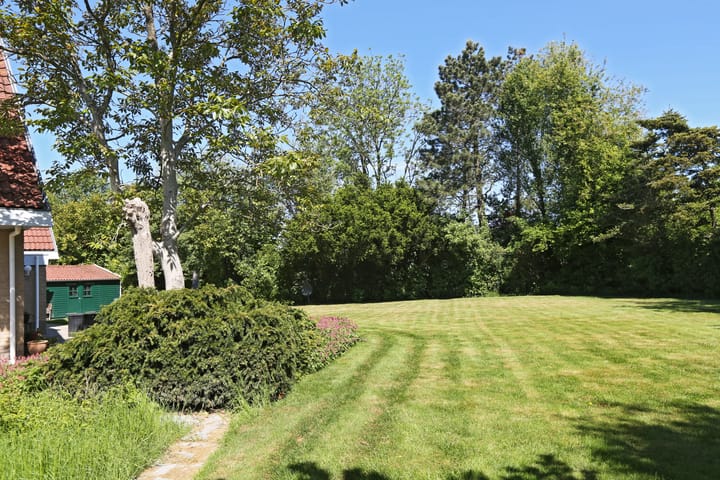 Foto 4 van Waterlelie 3