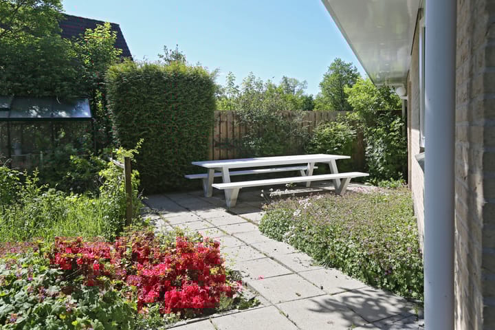 Photo 32 of Waterlelie 3