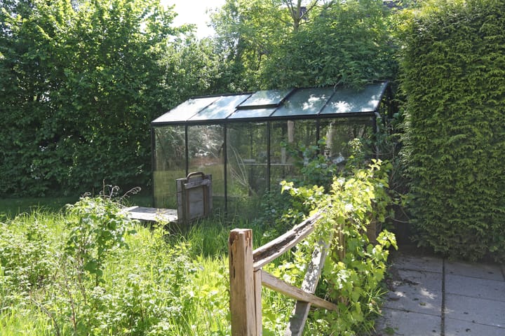 Photo 33 of Waterlelie 3