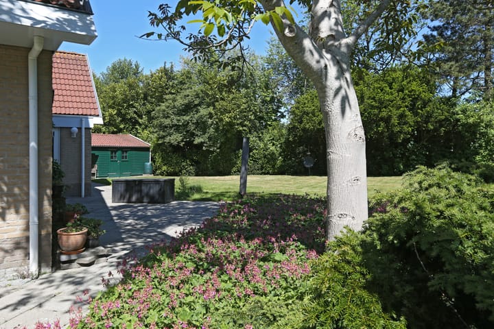 Photo 34 of Waterlelie 3