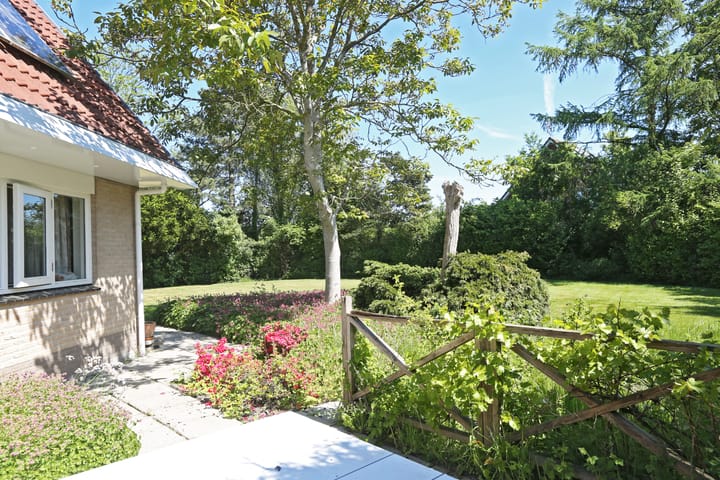 Photo 35 of Waterlelie 3