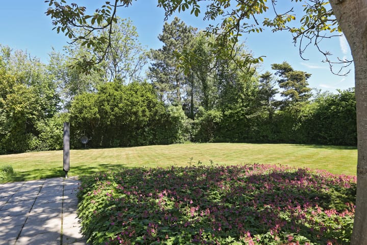 Photo 36 of Waterlelie 3