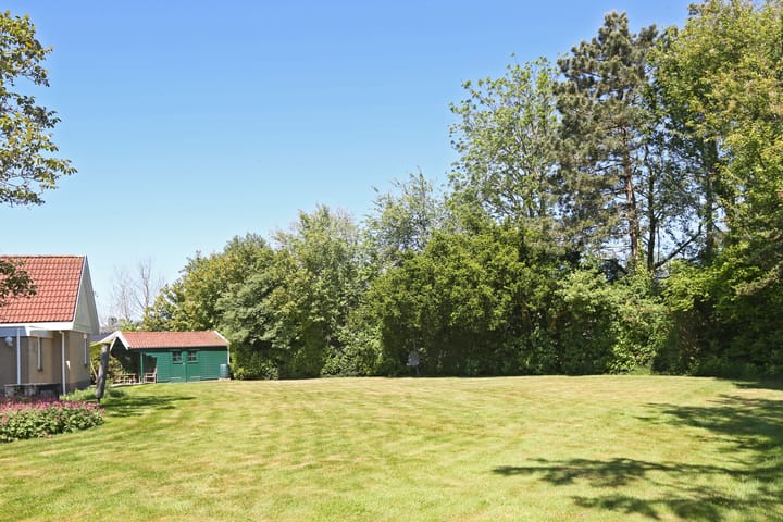 Photo 38 of Waterlelie 3