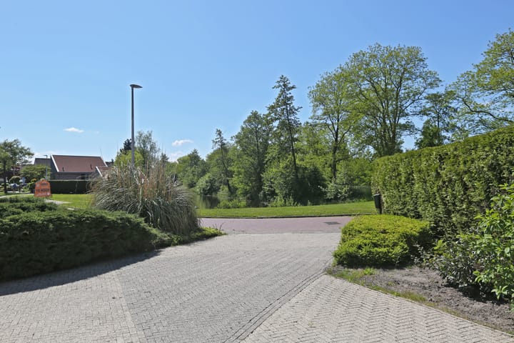 Photo 56 of Waterlelie 3