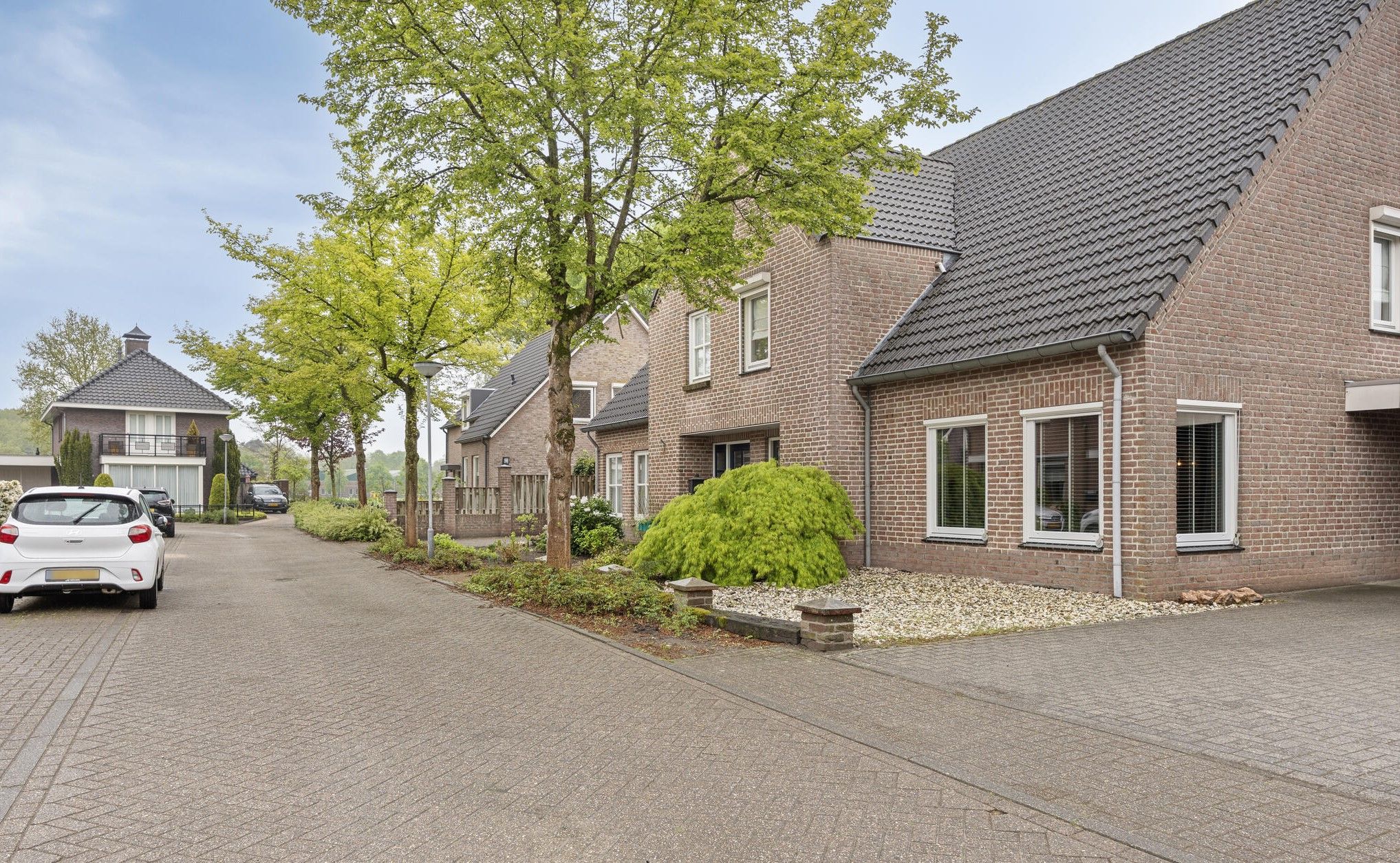 Photo 39 of Voorstveld 6