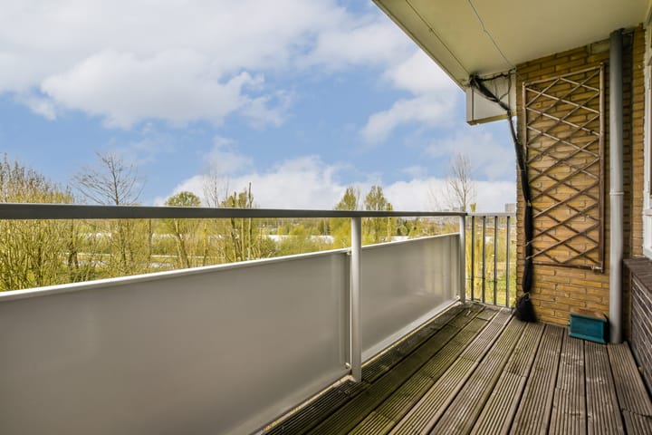 Photo 3 of Tobias Asserlaan 441