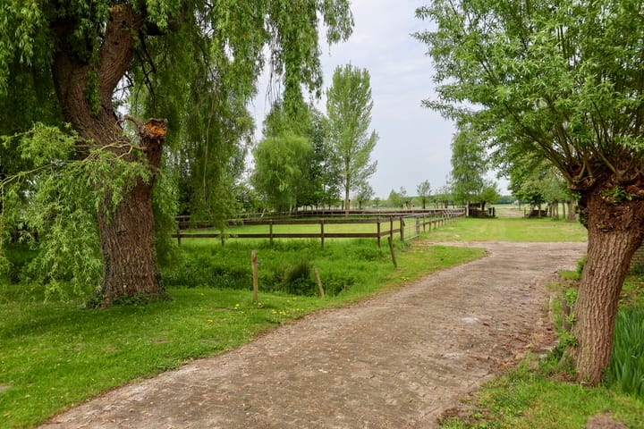 Photo 31 of Wakkerendijk 190