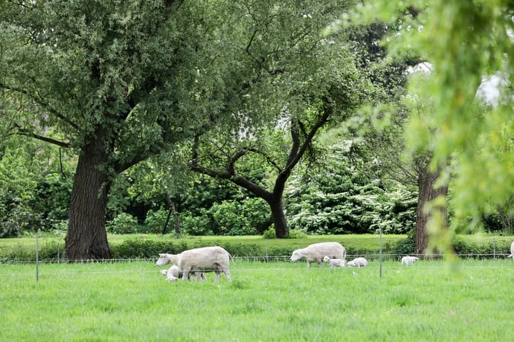 Photo 32 of Wakkerendijk 190