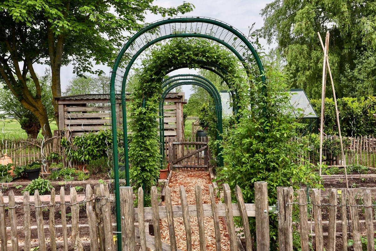 Foto 36 van Wakkerendijk 190