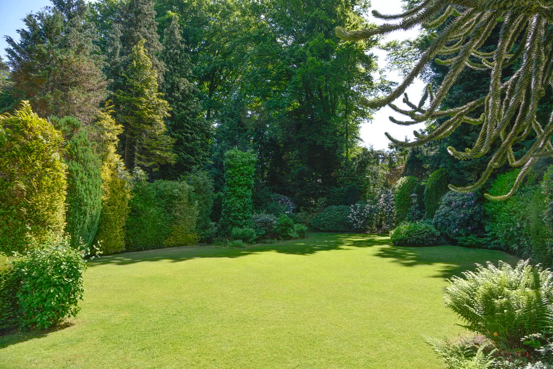 Foto 22 van Verlengde Slotlaan 86