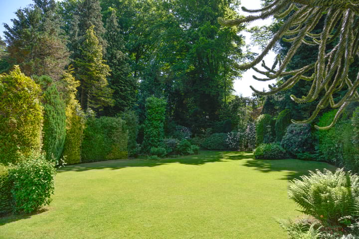 Foto 22 van Verlengde Slotlaan 86