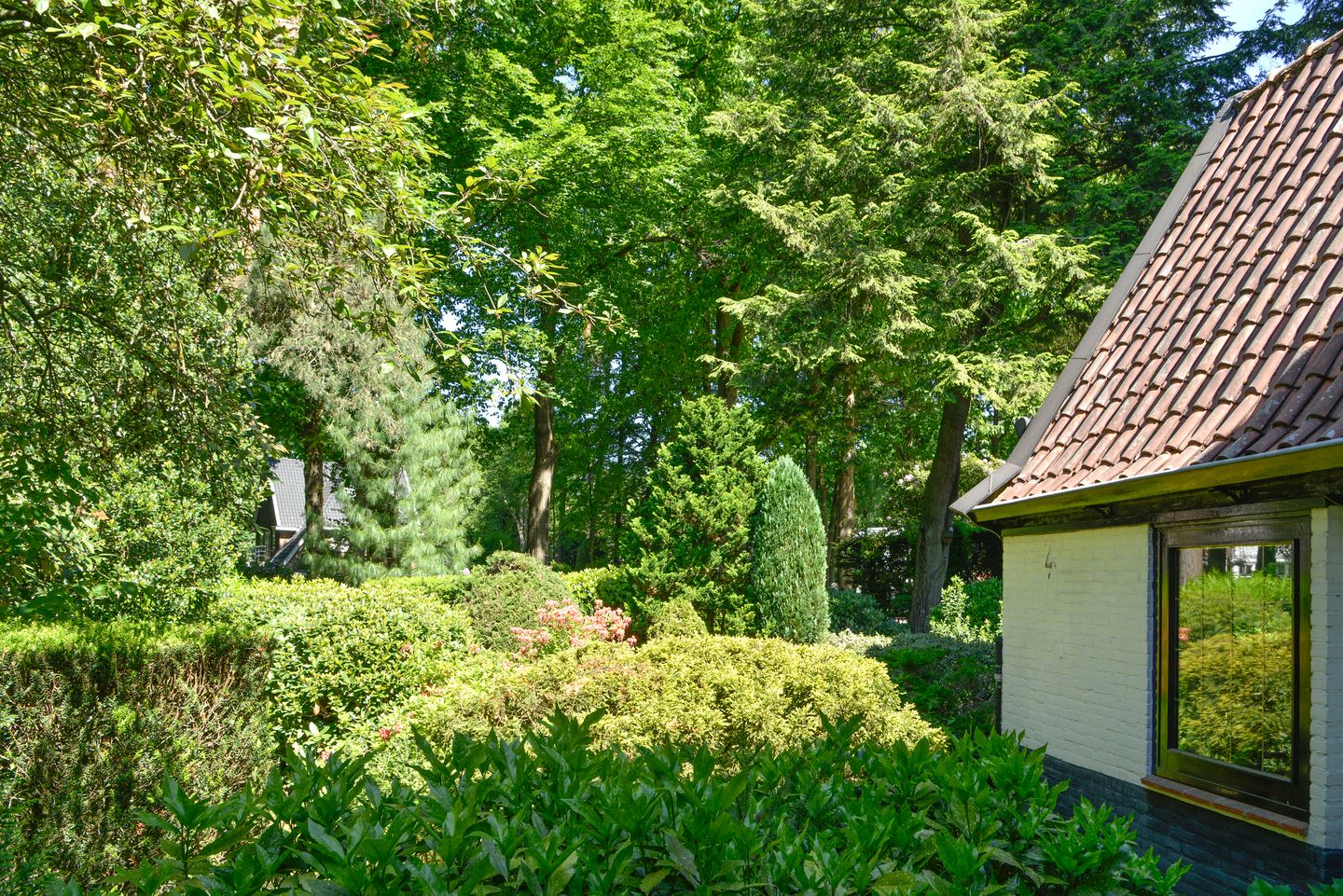 Foto 25 van Verlengde Slotlaan 86