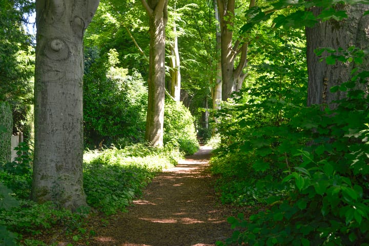 Foto 31 van Verlengde Slotlaan 86