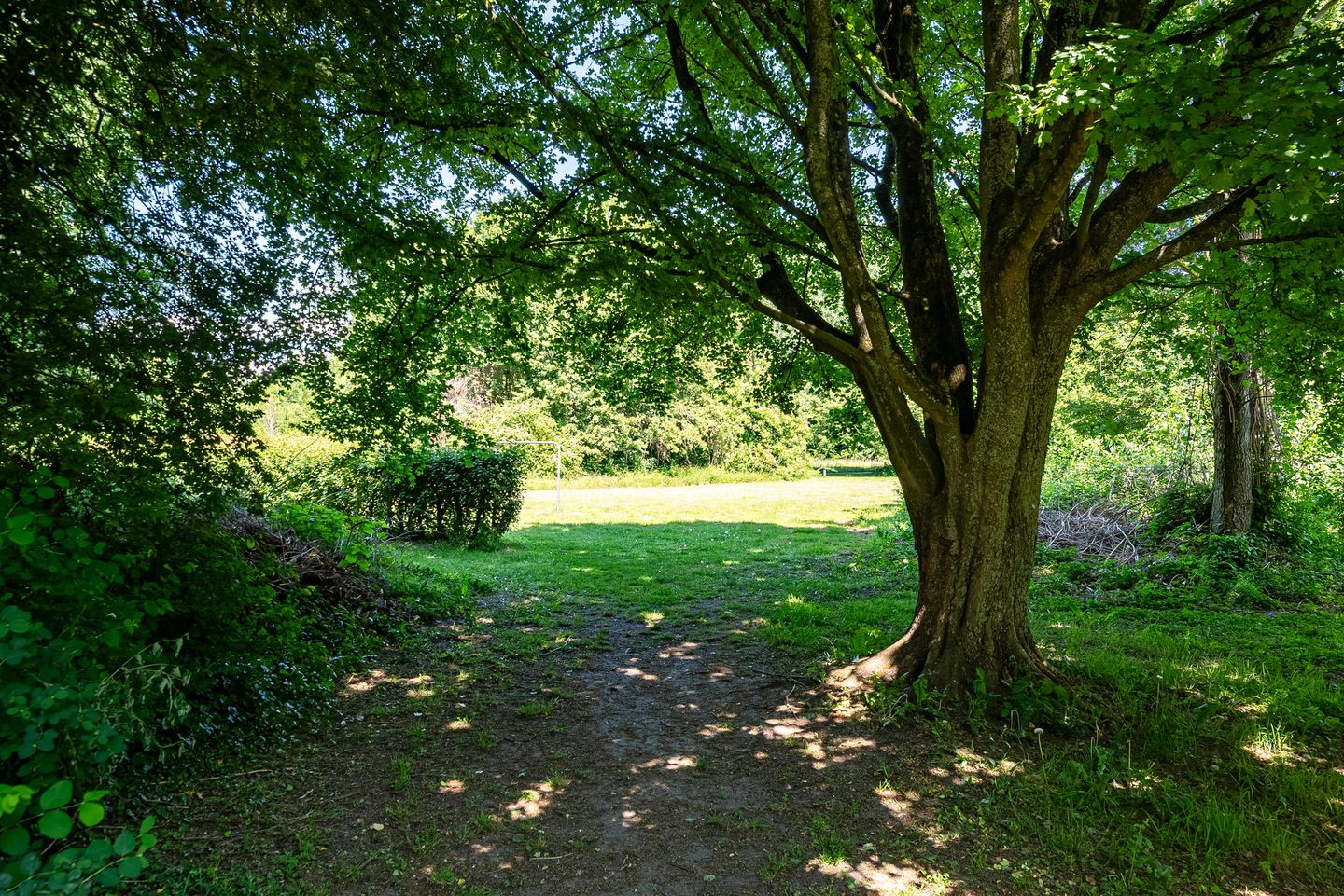 Foto 25 van Slinge 15