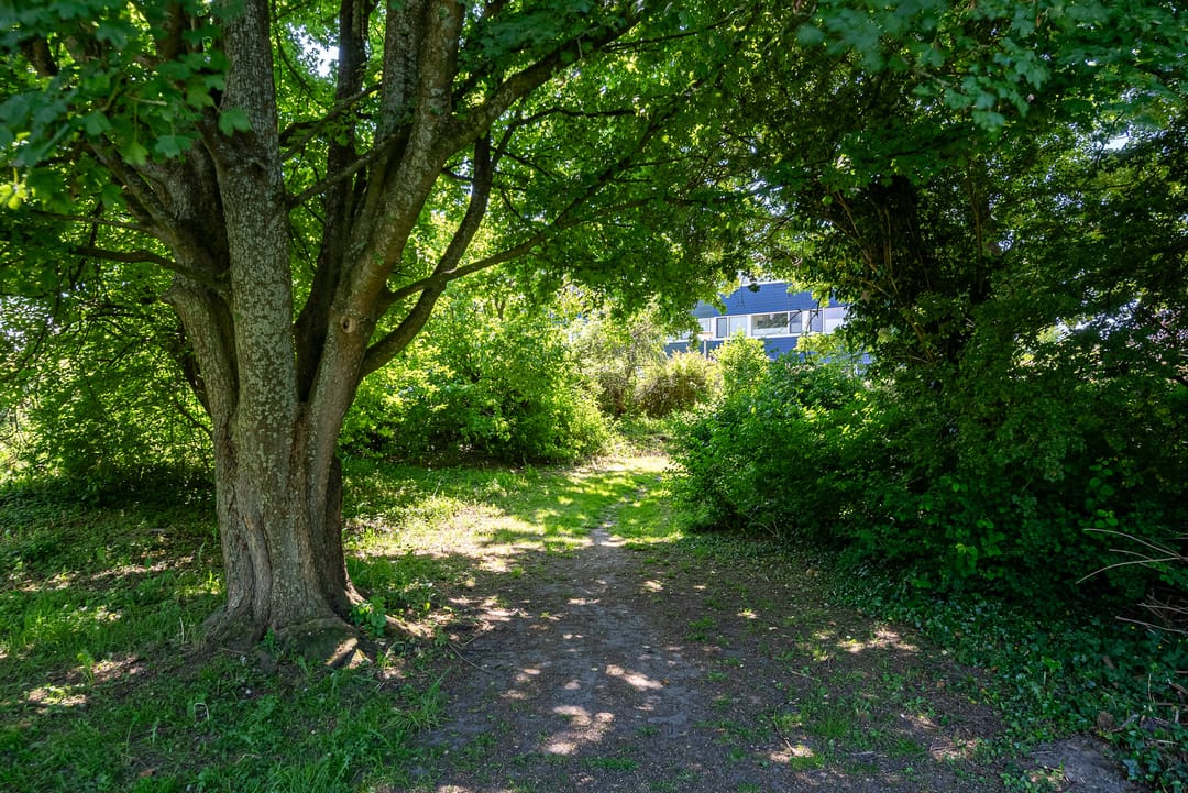 Foto 26 van Slinge 15