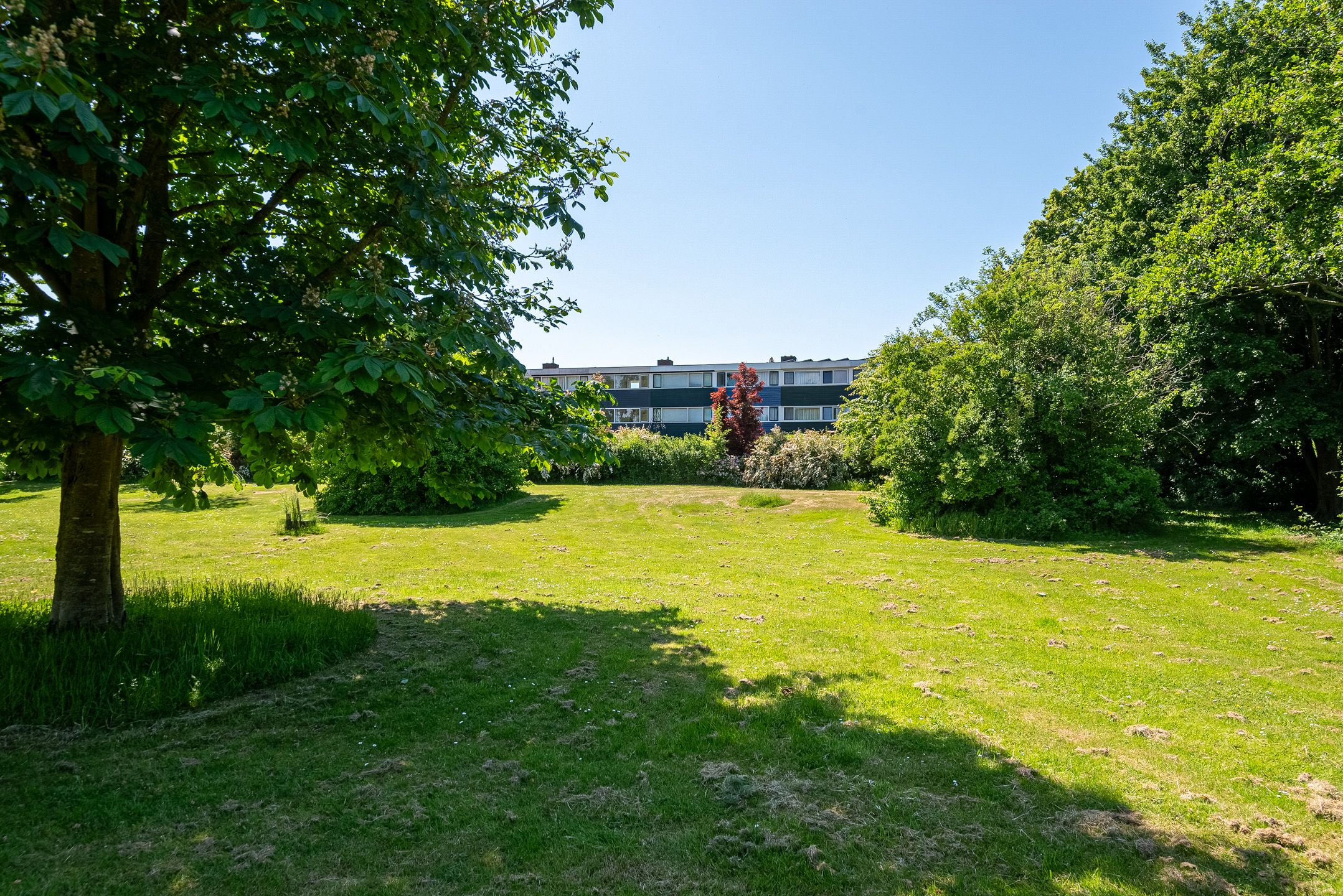 Foto 27 van Slinge 15