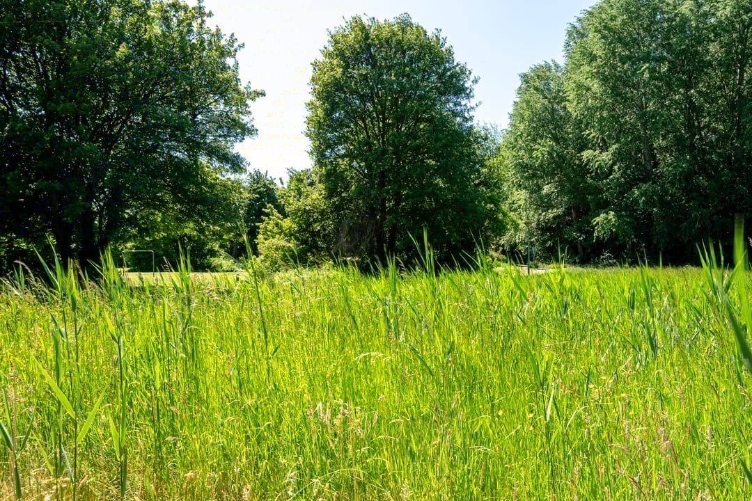 Foto 28 van Slinge 15