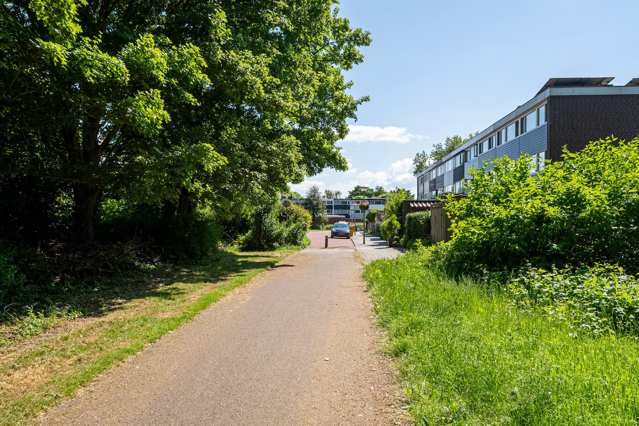 Foto 30 van Slinge 15