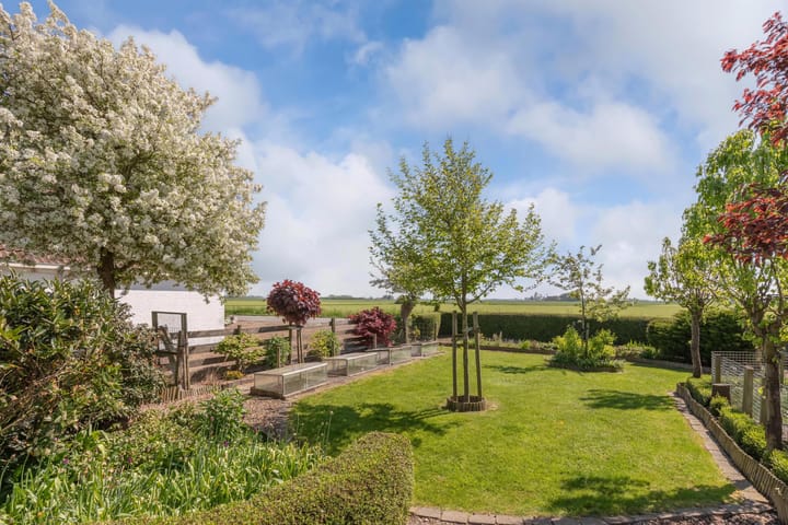 Foto 65 van Krabbedyk 4